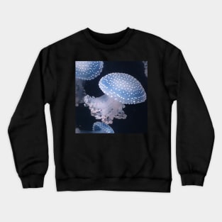 Jellyfish Crewneck Sweatshirt